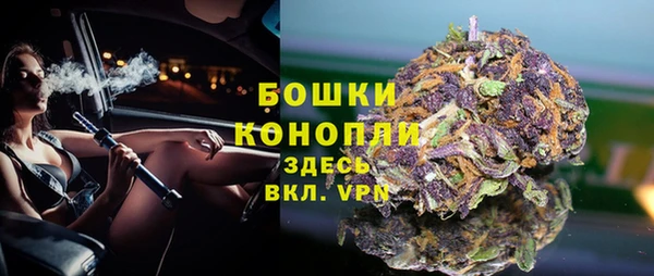 тгк Аркадак